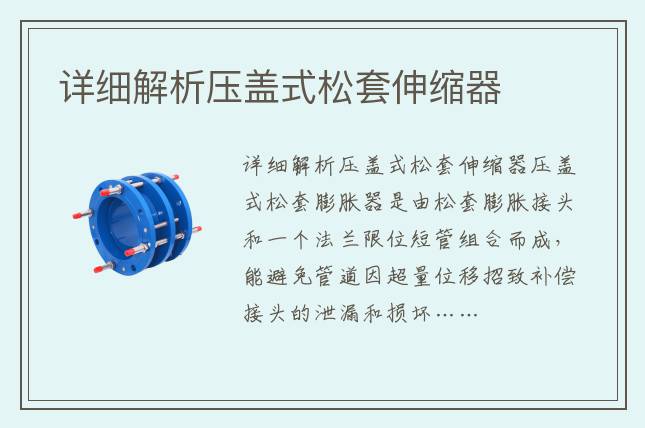 詳細(xì)解析壓蓋式松套伸縮器